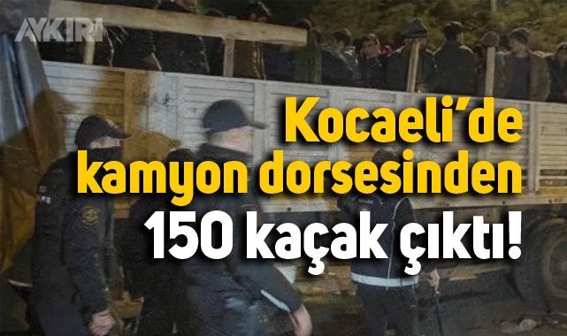 Kocaeli’de Kamyon Kasasında 150 Kaçak Sürüngen Yakalandı