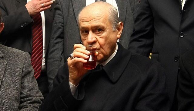 Çay’a Sokulmuş Püskevit;Devlet BAHÇE-Lee